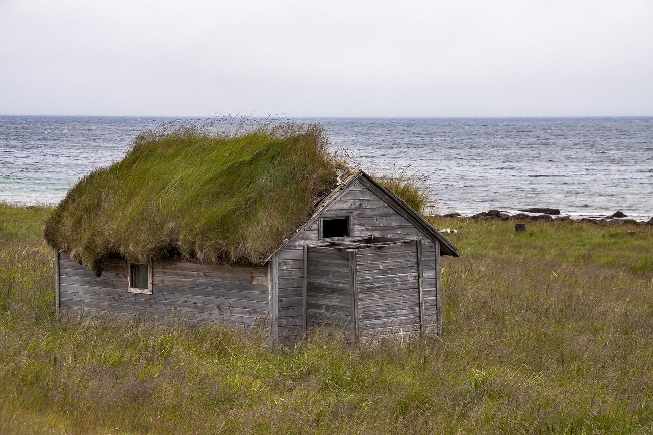 How to Build a DIY Garden Shed